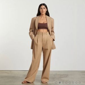 Everlane The Way-High Drape Pant Ash Brown NWT
